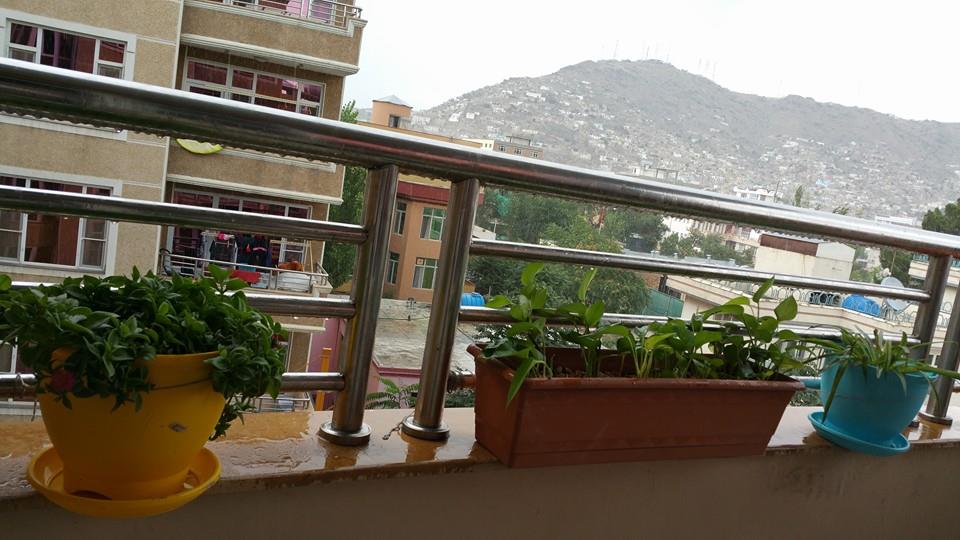 داره باران میباره آفتو بارانک شده
