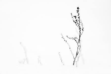 fade to white ...