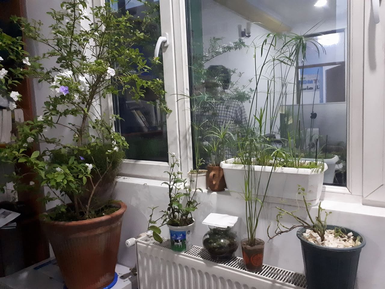 Our new office
