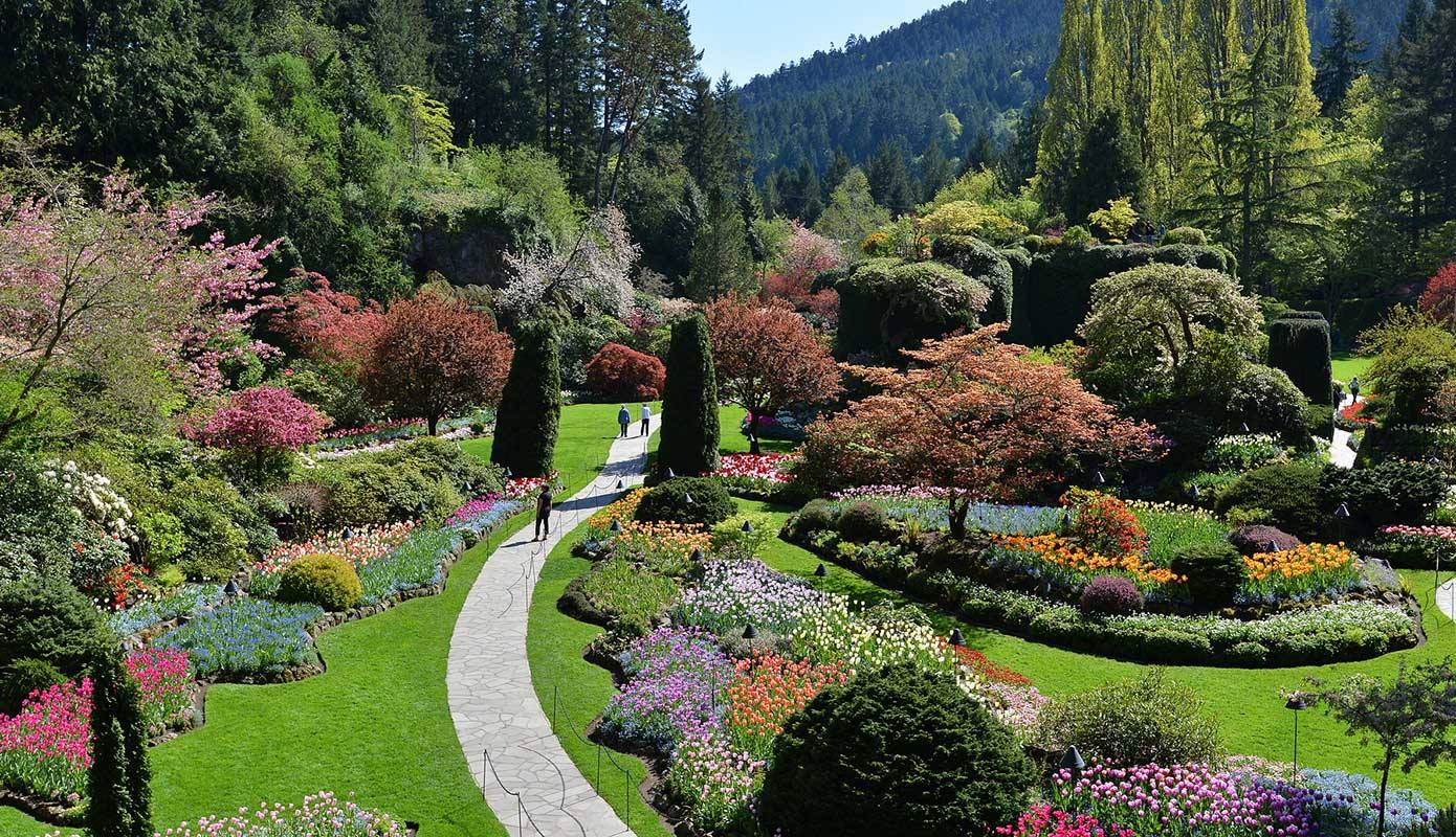 منم و امید روزی که تو را چنان ببینم ... #butchart_garden I hope to create this garden in #Kabul این آرزوی من است که چنین باغی را در کابل درست کنیم.