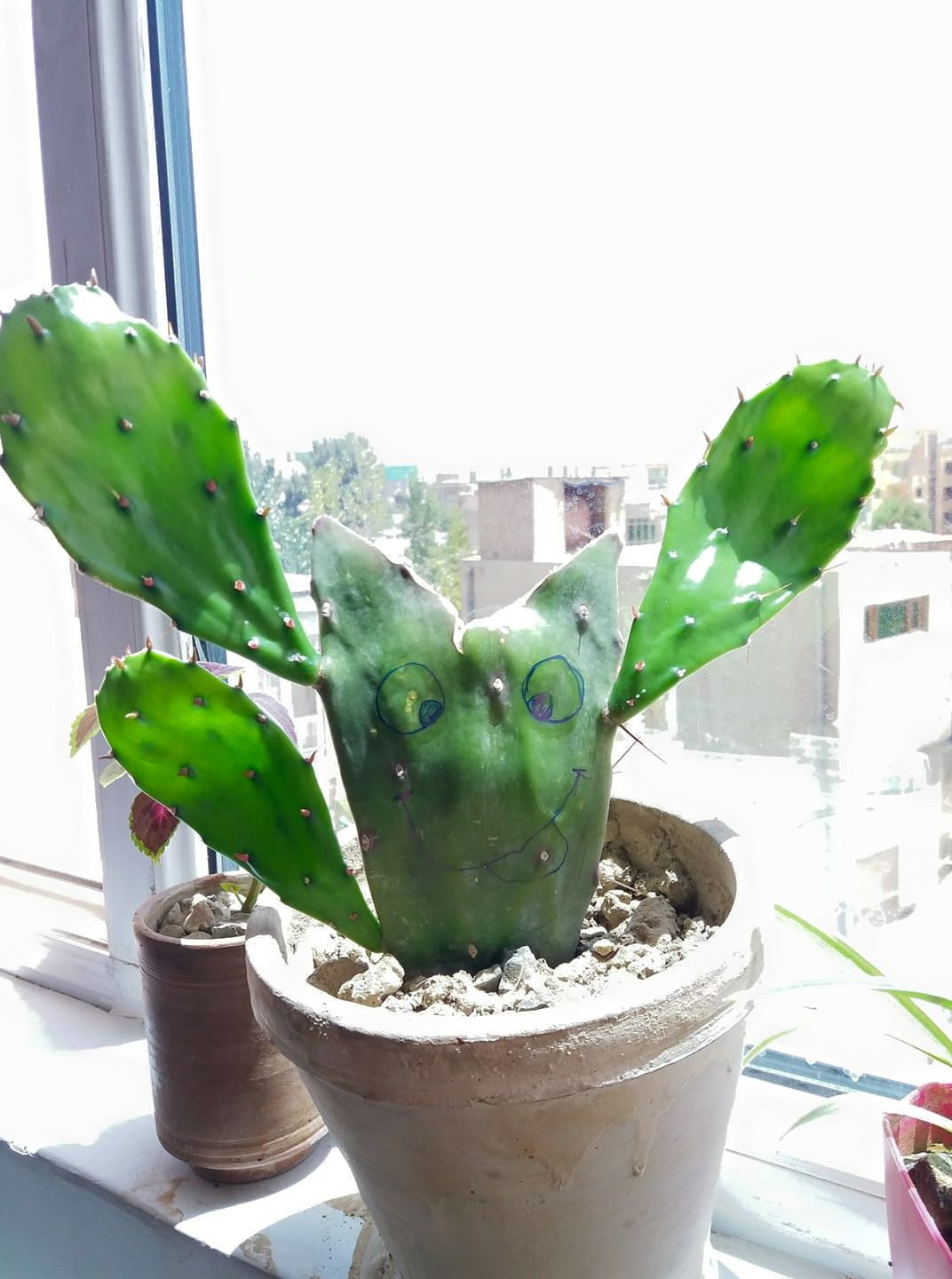 Welcome to the world of plants.