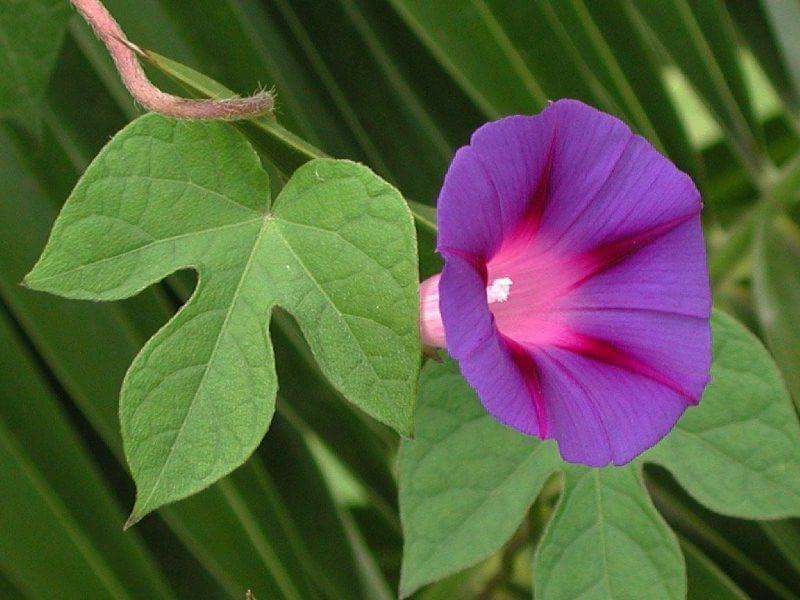 حالم خوش نیست. ولی باز هم صبحتان بخیر