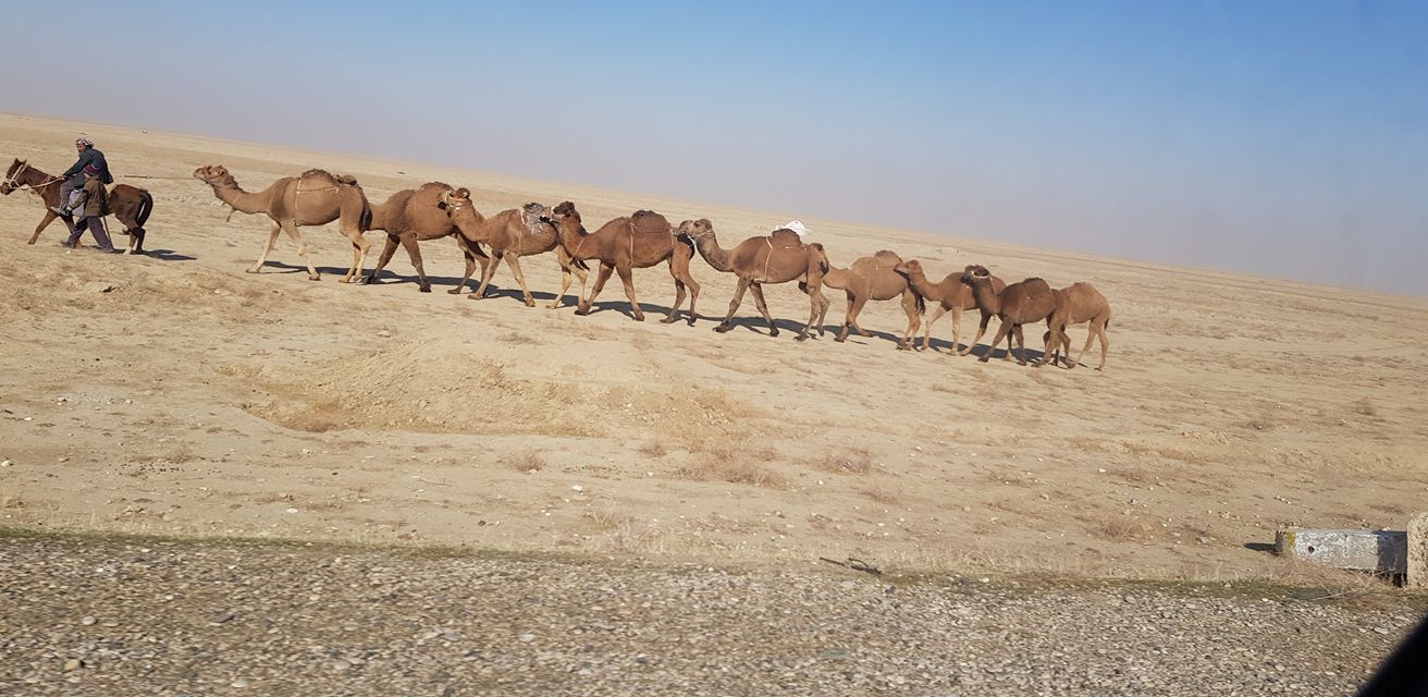 در مسیر رفتن و آمدن