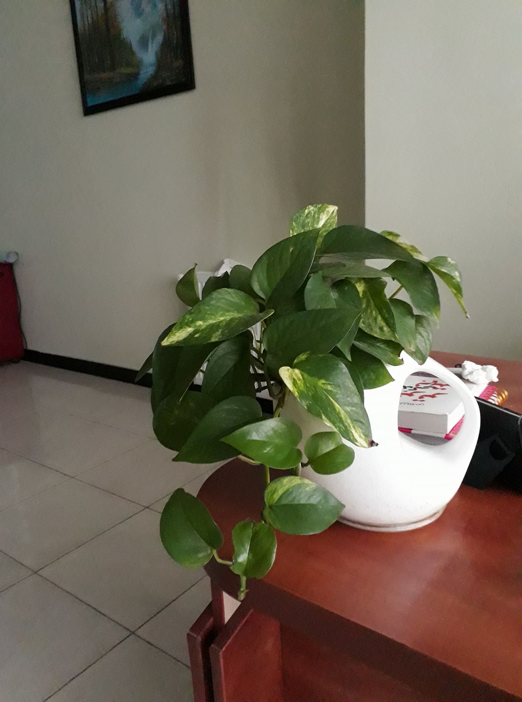 سلام عشق من، چطوری؟