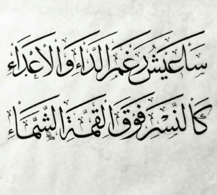 با وجود تمام دردها و رنجها زندگی خواهم کرد مانند عقاب بر بالای قله‌های بلند ... دوستتان دارم.