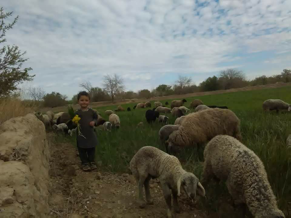 قشلاق پدری My father village