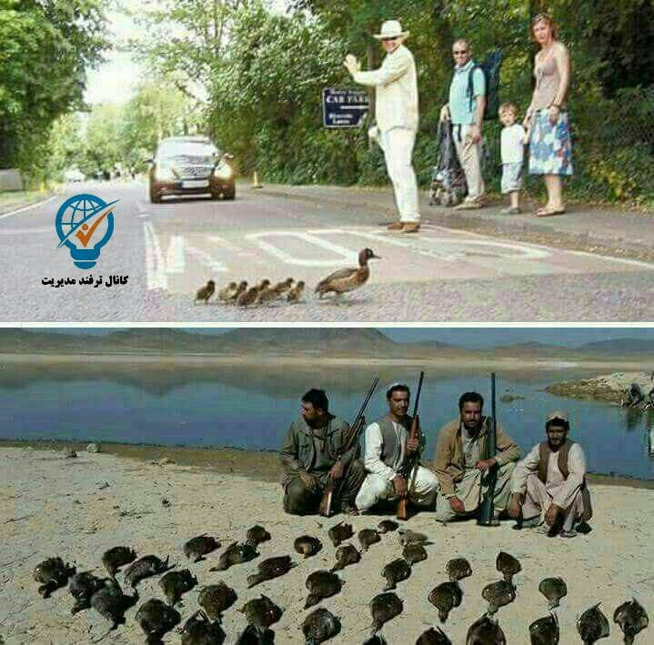 تفاوت در آب و خاک نیست، بلکه در نگرش و باور آدمهاست که فرهنگها و ملتها متفاوت می شود.