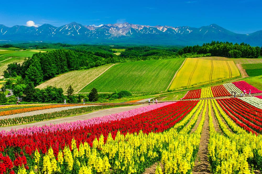 Hokkaido, Japan After winter
