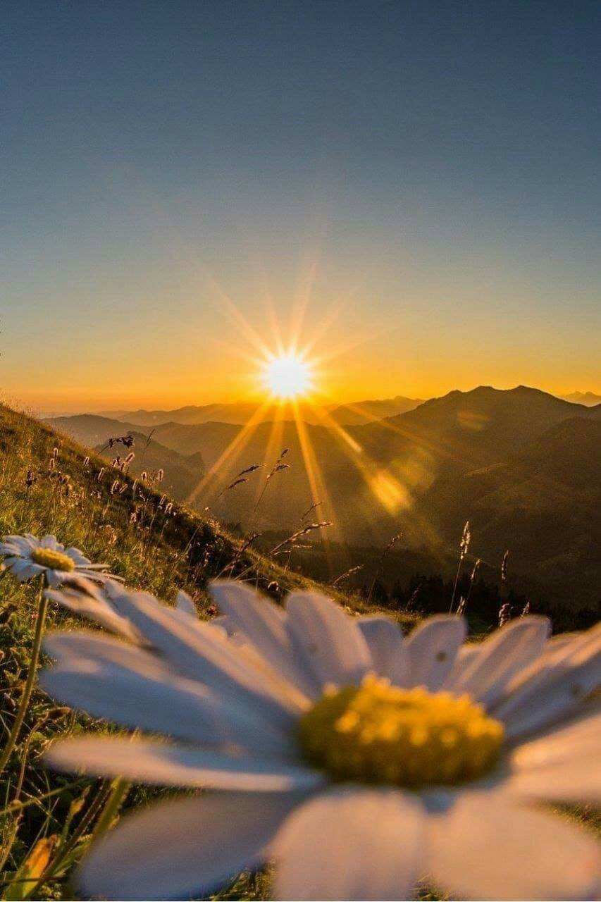 صبح روشن است، برای کسانی که با چشمان پر فروغ به آن می‌نگرند.