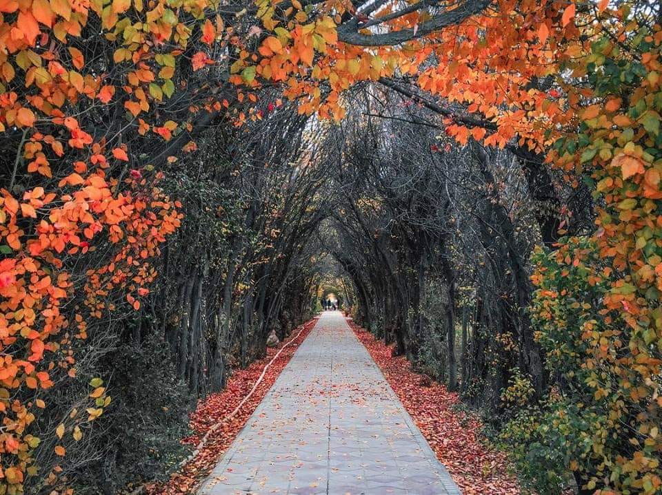 Good morning Afghanistan صبح بخیر افغانستان دالان آشوقان(عاشقان) در دانشگاه پلی تخنیک کابل(نام عکاس یادم نمانده)