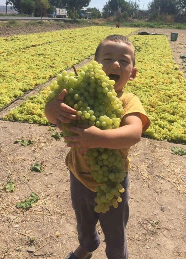 Good morning Afghanistan صبح‌ بخیر افغانستان