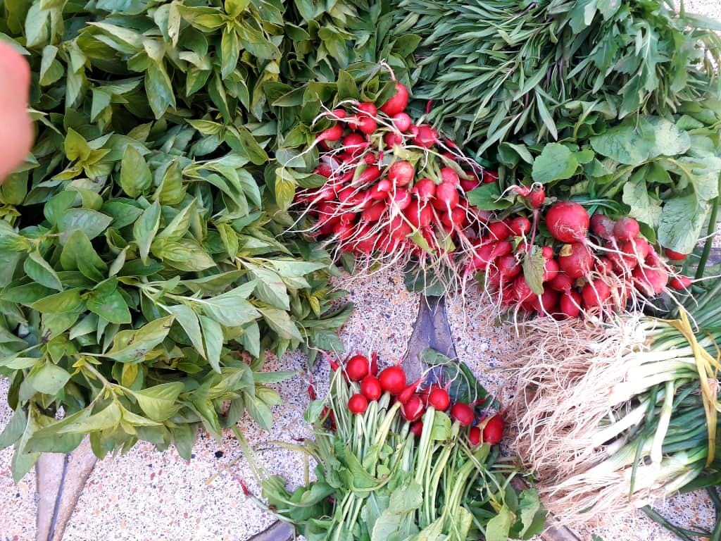 Good morning Afghanistan صبح بخیر افغانستان