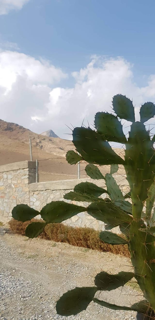 Good morning Afghanistan صبح بخیر افغانستان