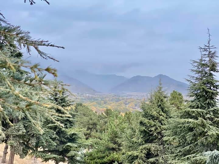 Good morning Afghanistan صبح بخیر افغانستان