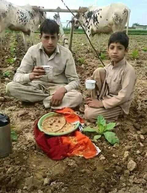 Good morning Afghanistan صبح بخیر افغانستان فصل پاییز و زمستان می‌رود بار دیگر چون بهاران می‌شود از زمین خشک می‌روید گیاه چشمه جوشد، آب می‌افتد به راه برگ نو آرد درخت نارون سبز گردد شاخساران کهن گل بخندد بر سر گلبوته‌ها پر کند بوى خوش گل باغ را باز می‌آید پرستو نغمه خوان باز می‌سازد در اینجا آشیان پروین دولت آبادی