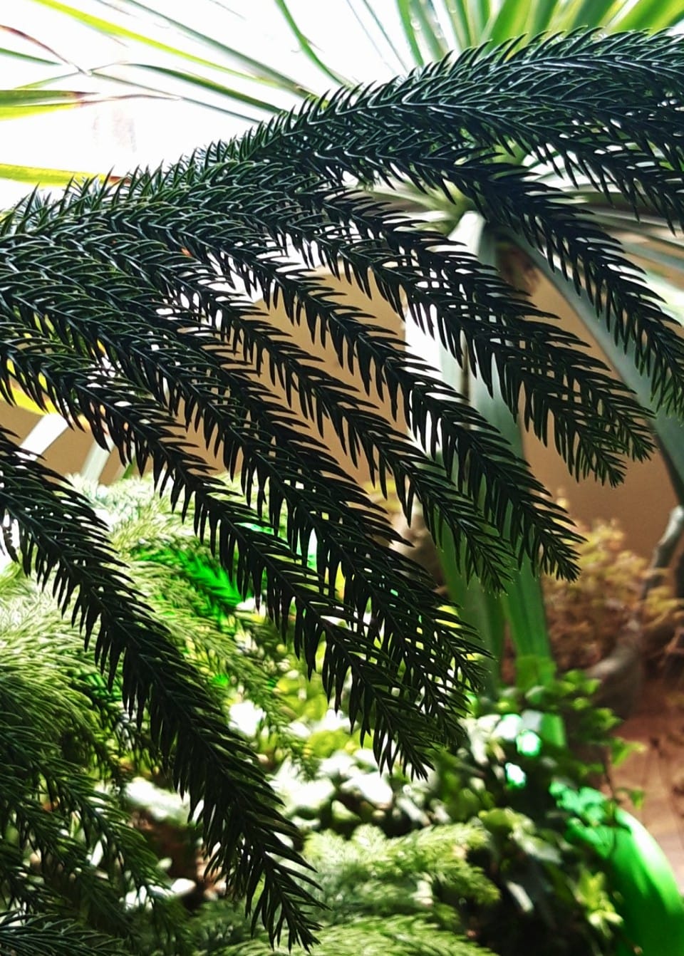 Good morning Afghanistan صبح بخیر افغانستان - تنها تویی تنها تویی، در خلوت و تنهاییم... - دلا خو کن به تنهایی، که از تن‌ها بلا خیزد... - اگر تنهاترین تن‌‌ها شوم، باز هم خدا هست، او جانشین تمام نداشته‌های من است. - بی همگان به سر شود، بی تو به سر نمی‌شود از تو به خود رسیده‌ام، این که سفر نمی‌شود.