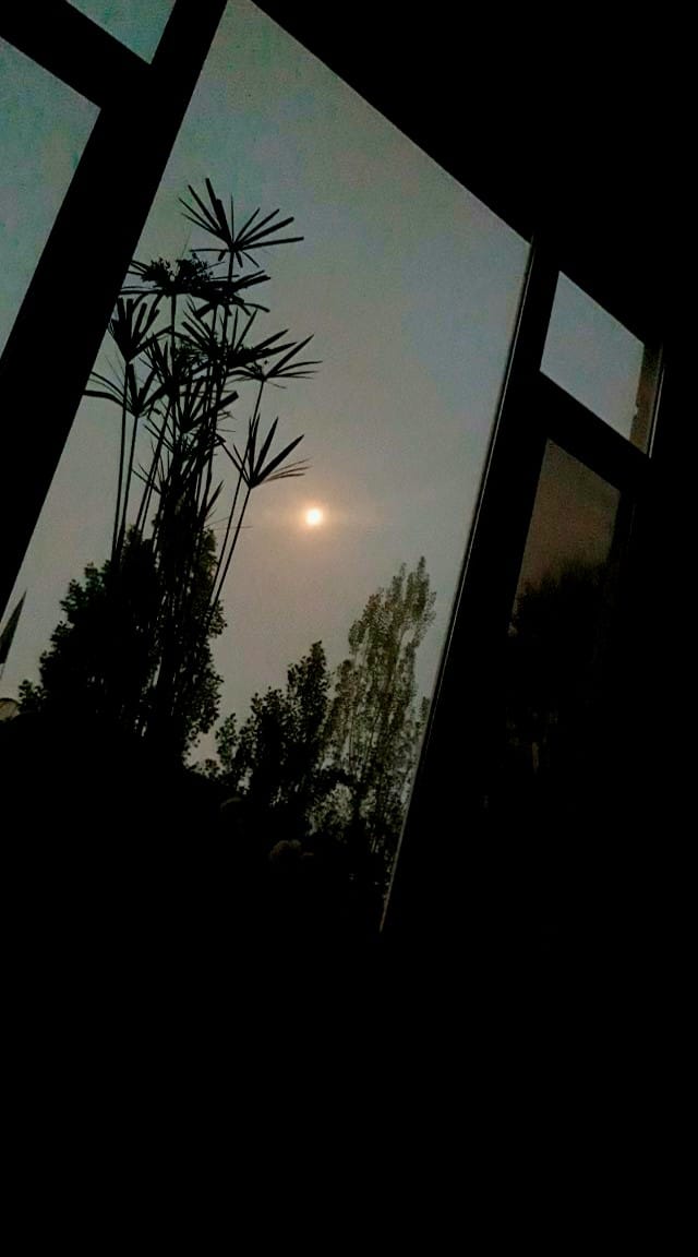 Good morning Afghanistan صبح بخیر افغانستان ⚘نام این گلهای پنجه پنجه ، نخل مرداب است، هزار تا قلمه‌اش را جور کردم، کم کم ریشه زدند. چند نفر از دوستا آمدند، بردند، برای چند نفر دیگه هم رساندیم. شما هم قومنده (امر) کنید، خذمت شما، افتخار ما است. ⚘ دوستان پرسان میکنند قیمت‌اش چند است؟ بها ندارد، نه اینکه بی ارزش باشد، از بس که گرانبهاست، و نه اینکه خریده نتوانید، دیدار دوست و پیدا کردن آشنا، خودش گنج و ارزش‌اش طلاست. مگم (اما) یک شرط دارد، شما هم این قلمه‌ها را نگاه کنید، راه نگهداشت‌اش را تمرین کنید و چوچه (بچه، جوجه) بگیرید و تکثیر کنید. و باز به ده نفر، هزار نفر دیگر از دوستانتان هدیه بدهید. همانطور که یک روزی این هدیه ها به من رسید، امروز تقدیم شما باد. ⚘آشنا شدن با یک دوست جدید، ورود به دنیایی است که هیچ تصوری از آن نداریم. من این کنجکاوی را دوست دارم. ⚘به خاطر کار حواله، هم ما و هم یکی از دوستان سخت اذیت شد. بحث ما بیشتر از حواله داری، کار روی خواص و قوانین و درک پیسه الکترونیک است و تطبیق این خواص و قوانین با ذهن نیروها و همکاران و شرایط قانونی افغانستان. یکی اینکه مبلغ بالای هزار دالر بود. بانک مبالغ بالا را بدون سند و مدرک قبول نمیکند. تمام حواله های ما صد دوصد نهایت پنجصد بود. دیگر اینکه در دالر بحث پول نو و کهنه مطرح بود. چیزی که اصلا در مورد پول افغانی و پول الکترونیک مطرح نبود. ⚘ بیشتر نیروهای ما علیرغم صداقت و دیانت شان، واقعا تا به حال یک بندل (بسته) پنجصدی یا هزاری افغانی (واحد پول افغانستان، افغانی است) را لمس نکرده‌اند. و کار با پیسه (پول) بیشتر از اینکه تابع قوانین #اقتصاد باشد، تابع قوانین #روانشناختی و یک امر #احساسی است. ⚘چخوف در کتاب "درباره‌ی عشق" میگوید: عشق احساسی نیست که ما با معشوق داریم، در واقع رفتاری است که با او میکنیم. ما هم عاشق پول نیستیم. اما رفتاری که ما با پول میکنیم و تغییری که پول در ما ایجاد میکند، مهم است. باید تیم را و نیروها را از لحاظ روانی آماده‌ی برخورد با موجودیت پول چه الکترونیک و چه کاغذی کنیم. من دیدم که دستان دوستان موقع شمارش پول می‌لرزد. پول شمار کردن هم تمرین کار دارد. حتی اگر از خود آدم نباشد. ⚘ در روزگار محصلی، یکی که خیلی شبیه سیمین بهبهانی بود دستم را گرفت، راه را نشانم داد، خاطرم را جمع کرد و حتی در دنیای بی اعتمادی، از لحاظ مالی کمک‌ام کرد، برای جبران‌اش اقدام کردم، دعوتم کرد، چای نوشیدیم، فضای خانه‌اش از کافه نگار امروزی هم باحال‌تر بود. گفت روزی میرسد که برای خودم کسی میشوم، به نان و نوایی میرسم، آن‌روز موعد پرداخت این دَین است. نه به او که به خودم. چرا که او هم قبل‌تر از من از کسی دیگر، این نیکی را دریافت کرده بود. و به من رسیده بود. اما یک شرط گفت، گفت ده برابرش را پرداخت کنم. و این احساس آدم را جوان نگه میدارد. احساس جوانه زدن و پرورش یک نیکی در درون قلب. نه برای دیگران و سیال‌داری (چشم و هم چشمی)، برای خود خود خود آدم. ❤ هرگز نبوده قلب من اینگونه گرم و سرخ. دوستتان دارم.