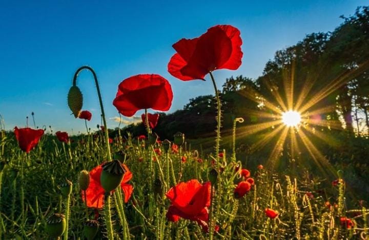 Good morning Afghanistan صبح بخیر افغانستان