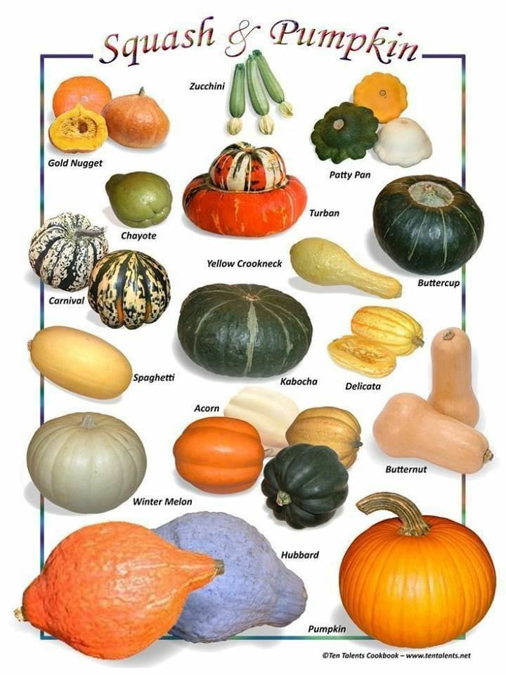Good morning Afghanistan صبح بخیر افغانستان تمام اینها کدو است، کدوی سبز، کدوی مزاری، کدوی گرد، و غیره. Squash & Pumpkin ✅ ما آدمها قبول داریم کدو انواع و اقسام مختلف دارد، سبز، سیاه، سرخ ،نارنجی، سفید، خالدار، پلنگی و برای ما مفید است، اما قبول نداریم همه ما آدم می‌باشیم و برای زندگی در کنار هم میتوانیم مفید باشیم. عجیب موجوداتی هستیم. ⚘ کلّه نبود، کدو بود، از مه نبود از تو بود. ⚘ از خیرات سر کلَم (کَرَم)، کدو آب خورد. ⚘ ک... را دیدی کدو را ندیدی؟ (قصه پیرزن و کنیز و کدو و خر در کتاب مثنوی معنوی مولانا) ⚘ کارتون کله کدو megamind را توصیه میکنم ببینید.