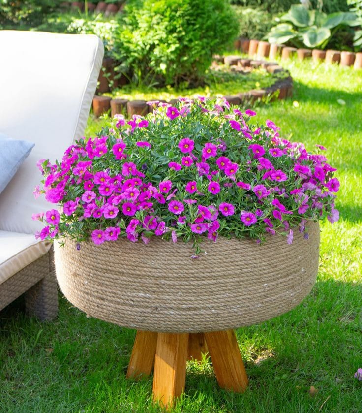 Good morning Afghanistan صبح بخیر افغانستان اسم این گل، پتونی است، گل اطلسی هم میگویند. از خانواده‌ی گل کچالو است. رنگارنگ است. Petunia - مراقب گلهای اطلسی باش، یک وقتایی منتظر کسی باش میخوام بپرسم رو به رشد هستید؟ برای رشد بیشتر دیگه به چی احتیاج داریم؟ اصلا لازم هست بیشتر رشد کنیم یا تا همین جا بسه؟ این سوال را باید اول می‌پرسیدم: آیا زنده هستید؟ آیا میخواین رشد کنید؟ دوستتان دارم عزیزان دل.