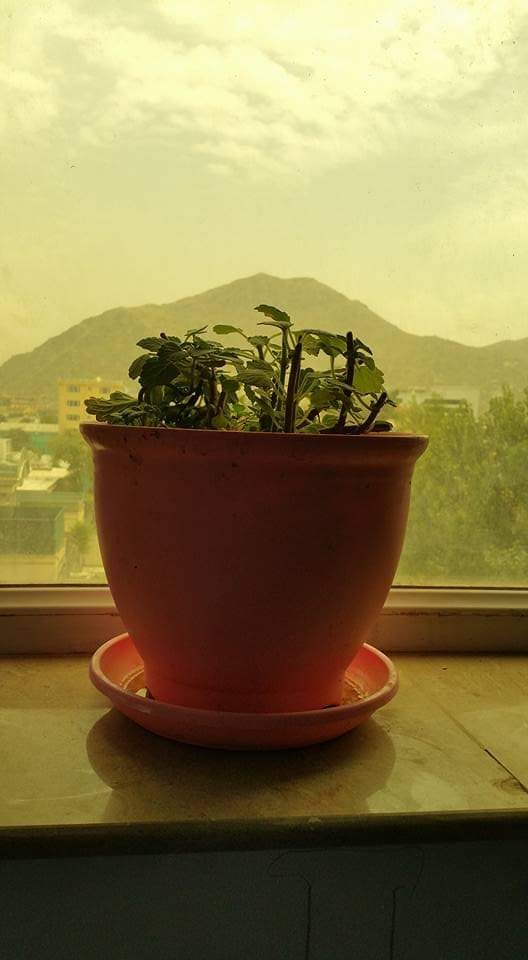 صبح بخیر افغانستان Good morning Afghanistan - چه خلوت خوشی دارد این گوشه‌ی قشنگ...
