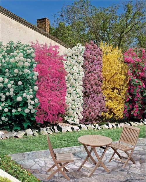 صبح بخیر افغانستان Good morning Afghanistan امیدوارم آرزوهایمان یک روز برای ما خاطره شود. شجاع، شاد و تندرست و ورزشکار بمانید. با جیبهای پر از پول. دوستتان دارم. ❤