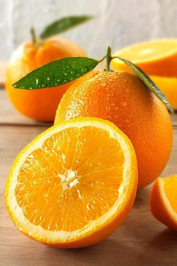 صبح بخیر افغانستان Good morning Afghanistan لیمو، مالته، سنتره، کامکوات، گریپ فروت، نارنج، نارنگی، کینو، تا به حال درخت مالته دیدید؟ خودتان لیمو از درخت چیندید؟ یکی از خوشبختیهای جهان دیدن درخت زیر بار مالته است. دوستتان دارم. گرمی دستهایمان افزون. ❤