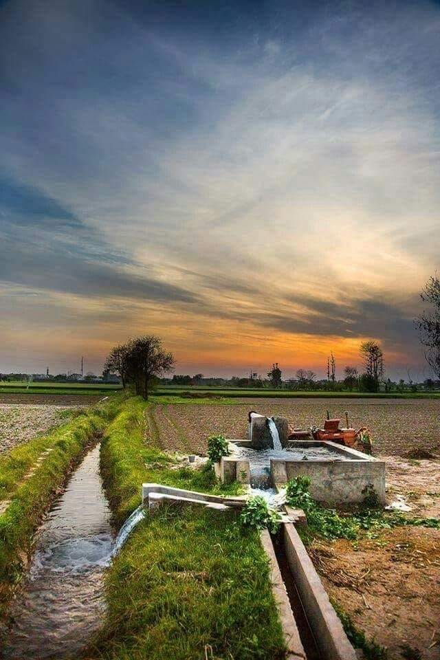Good morning Afghanistan صبح بخیر افغانستان بعضی چاه‌ها آب دارد بعضی چاه‌ها نان. اما ملتی که آب و زمین داشته باشد و فقیر باشد، از رحمت خدا به دور است.