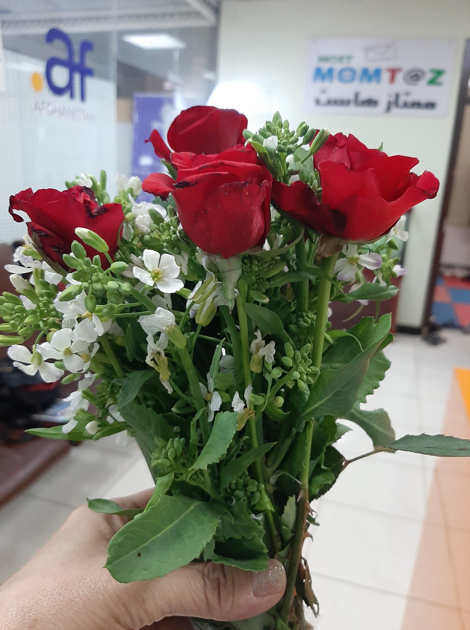 Good morning Afghanistan صبح بخیر افغانستان هر قسم domain که احتیاج باشه، برای شما ثبت میکنیم. مخصوصا af. را که نمایندگی وزارت مخابرات را داریم و زود زود ثبت میکنیم. تنها یک کاپی از جواز شرکت و یا هم کاپی تذکره، کار است.