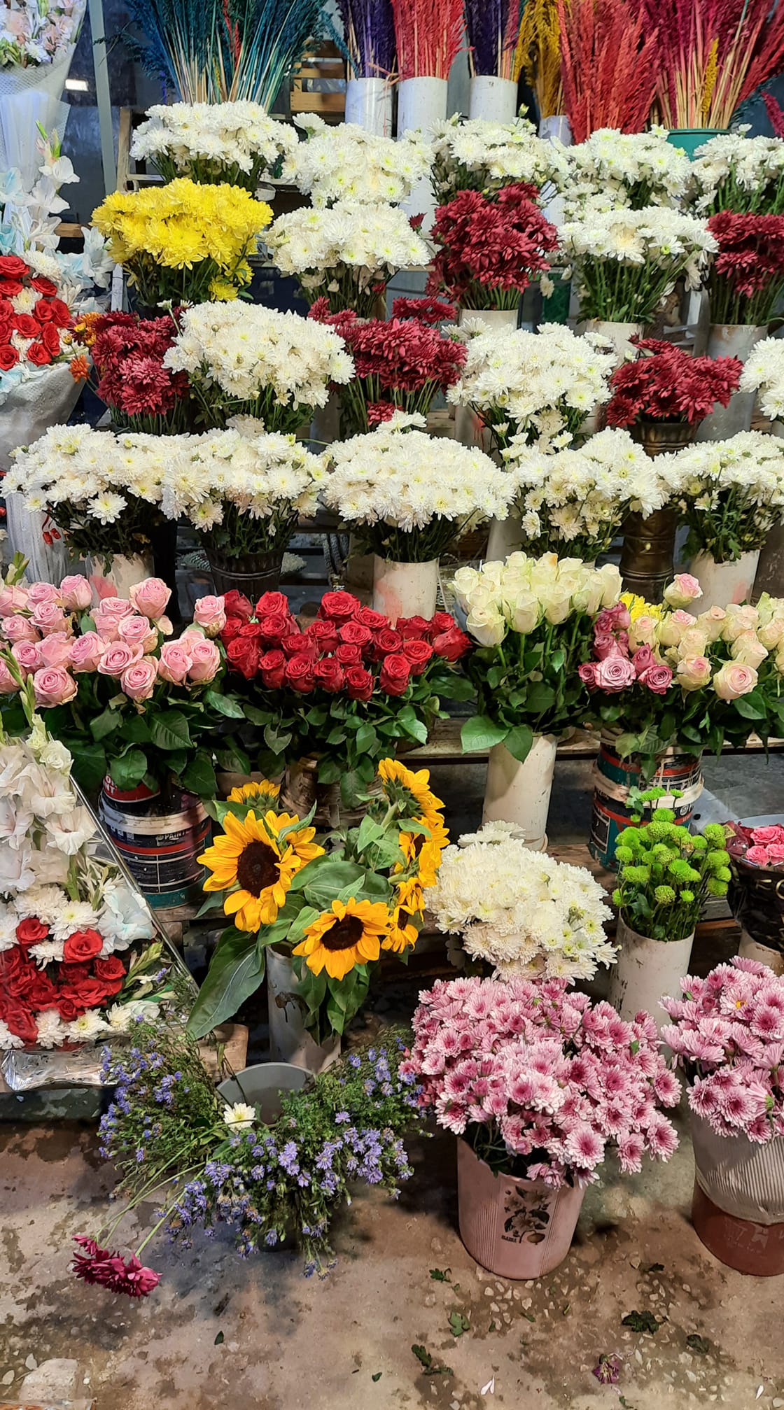 Good morning Afghanistan صبح بخیر افغانستان گاهی به جای تسکین سردرد و مصرف استامینوفن، شاید به یک شاخه گل از یک محبوب شدیدا نیاز داشته باشیم. این را از هم دریغ نکنیم. الانسان عبد الاحسان. آدمی بنده‌ی مهربانی است.