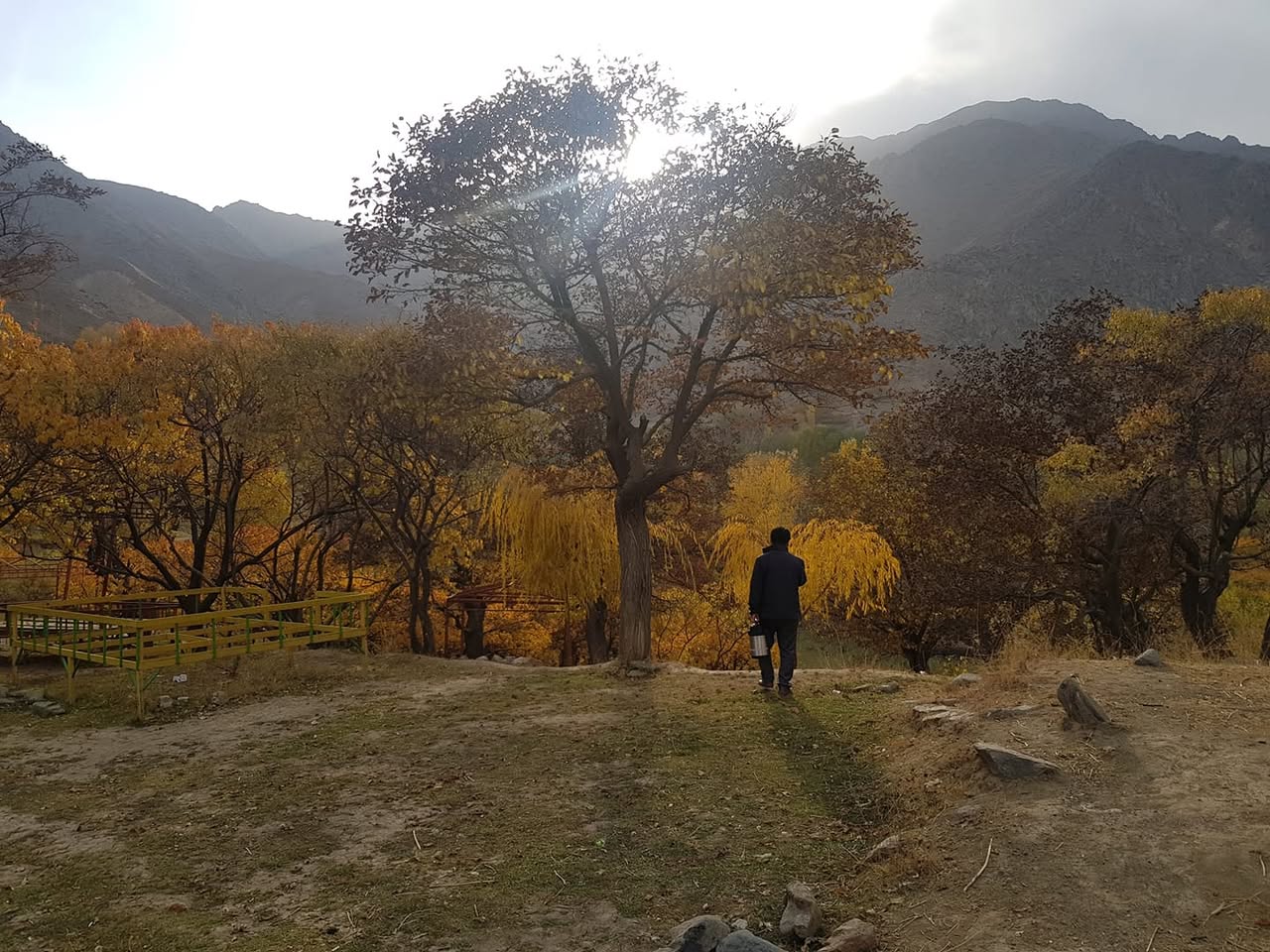 Good morning Afghanistan صبح بخیر افغانستان این روزها دارم خا‌کبرگ جور میکنم. برگهای خرانی را در یک چوقوری می‌ریزم و رویش خاک پوش میکنم. تا بهار برگها پوسیده می‌شود و از آن برای خاک گلدانی کار میگیرم. اگر امید به زندگی بشر حتی به یکسال هم برسد، این کار را تکرار میکنم. خیر ببینه کسی که یادم داد صبکی بعد از بیدار شدن، ۴ گیلاس آب شیرگرمک (وِلَرم) بنوشم. با همین راه حل ساده، از کلان مصیبت نجات یافتم. اگر نه هر روز سردردی و بدخویی داشتم. این روزها، دو ساعت پیاده گردی، دوساعت کدنویسی و دو ساعت کارخانگی با اولادا دارم. از همه سخت‌تر، جواب دادن سوالات عجیب و غریب اولادا است. باید روزانه دوساعت آمادگی برای درس دادن به کودکان را هم تمرین کنم.