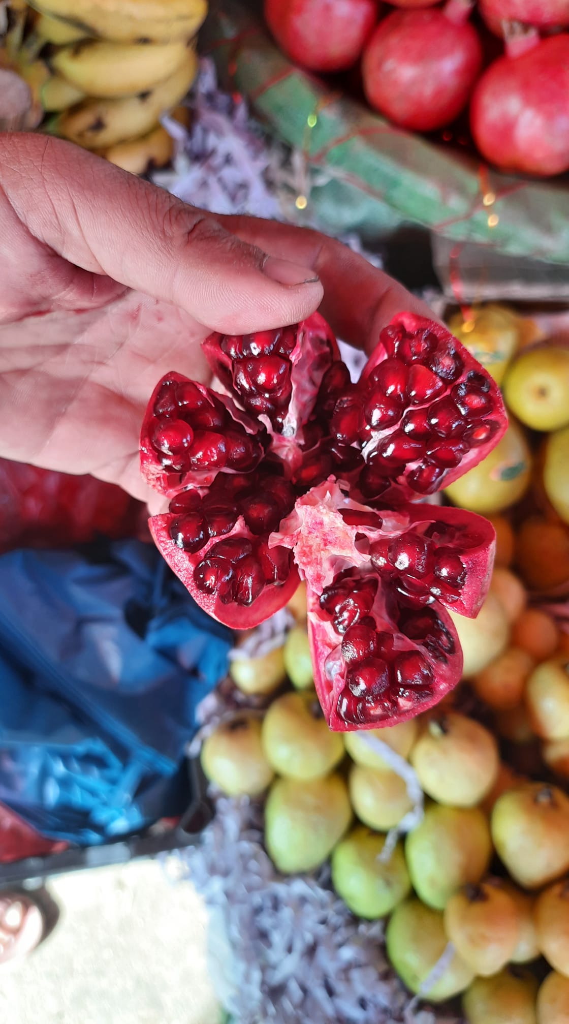 Good morning Afghanistan صبح بخیر افغانستان این روزها غیر از کدنویسی و سکس هیچ چیزی در کله‌ام نمی‌گردد که بنویسم، بعد نوشتن هم انتقادها بلند می‌شود که ما را گمراه میکنی. آها، آب کردن شکم‌ام، بالاخره جواب داد و اولین نشانه‌ها را دارم می‌بینم. یک هفته می‌شود که ایزاربندم را محکم‌تر می‌بندم. این موفقیت را به خودم تبریک می‌گویم. در اقتصاد و بازارهای مالی، به اندازه جلبک دریایی، خلاقیت ندارم و از دست دادن پول تا دلار آخر را با هیجان تماشا میکنم. تا به حال سه بار لیکویید شدم و با هر کسی هم که رفیق شدم، آنها هم لیکویید شدند. در این‌ مورد با من رفیق نشوید. شبیه فیلم 127 hours آدم در معامله بند می‌ماند. باید برای خروج برنامه ریزی کنیم، حتی اگر یک دست خود را از دست بدهیم، اگر نه خیلی باحال لیکویید می‌شویم. شعر میخوانم، شعرهای سکسی هزارگی. سر کوه بلند زردگ نموشه، دلی دختر در پیرمردگ نموشه که پیرمردگ دگر عیبی نداره، سینگیرشی سوسته و کگرگ نموشه... کگرگ باشید، مست باشید، مرا هم دعا کنید.
