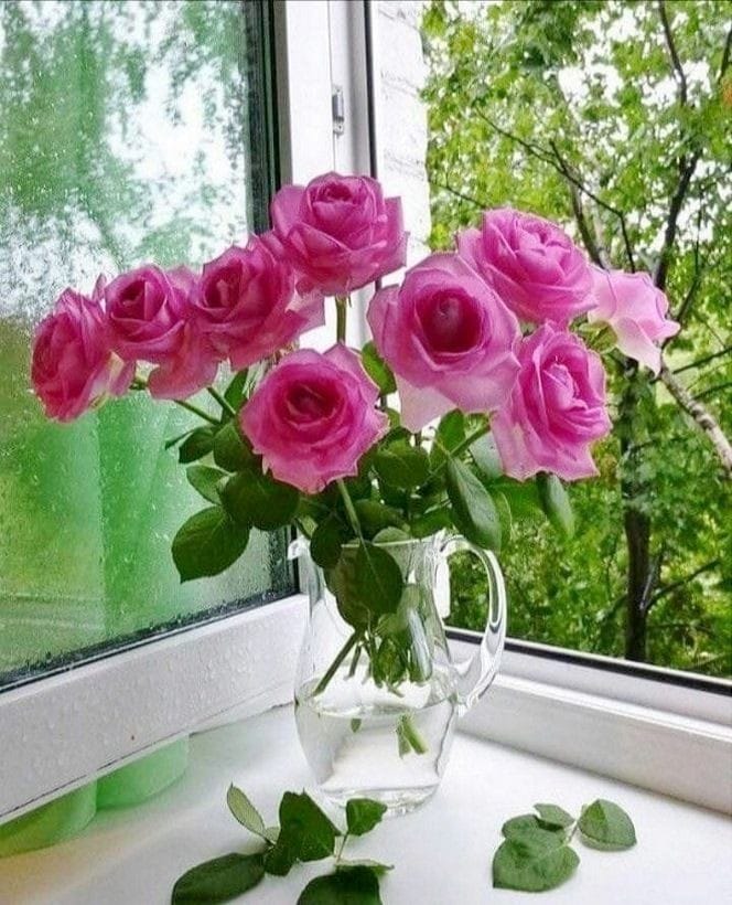 Good morning Afghanistan صبح بخیر افغانستان از نظر مادرم، گل یعنی گل گلاب، بقیه گلها علف هستند!!! یک روز گفت: یکی، گلِ گلاب، گُل است یکی اولادای تو، پشت دیگه گلها نگرد بچم....