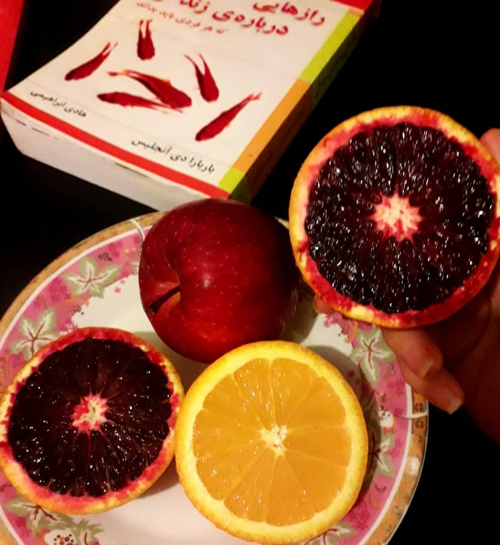 هزار سال قبل بود، بعد از رخصتی‌های عید قربان، رفتم دفتر، پیش حاجی احمد. پرسان کرد: جعپَری صاحب، د عید کدام قربانی کردی؟ خون مون ریختاندی یا نه؟ گفتم: قربانی که نکردیم حاجی صاحب، مگم خون ریختاندم. گفت: خو چی کردی؟ گفتم: هیچ، دوگانگی ها را بردیم ختنه کردیم. یک کمی خون و خون‌باتگ شد و مخصد سنت را اجرا کردیم. و بعد از آن روزها، سراسر عید قربان بود کابل.