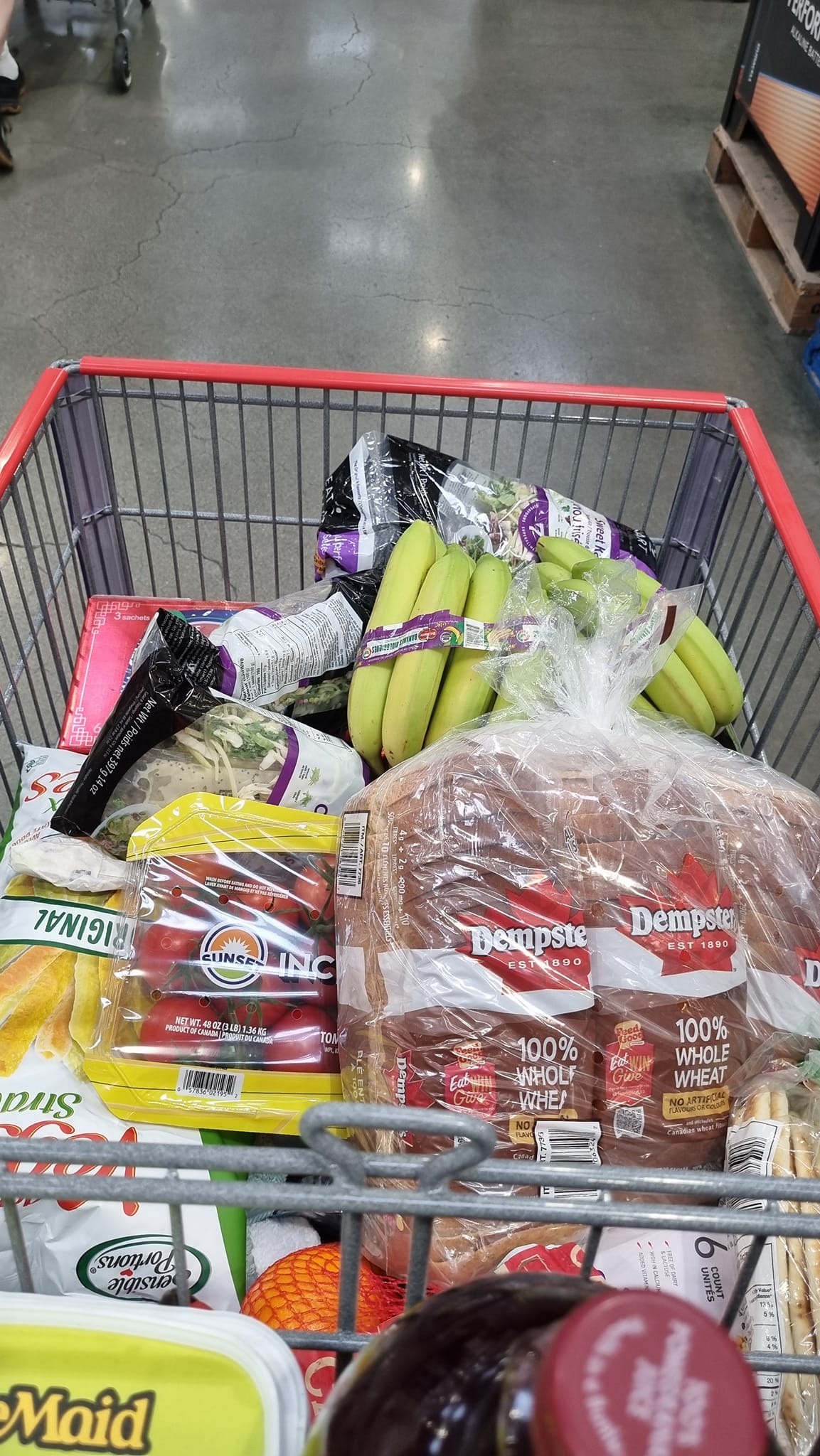 وقتی به کاستکو Costco می‌رویم و یکجای برای یک هفته برای همه خانواده خرید می‌کنیم، باید در هر حالتی آرامش خود را حفظ کنم و همیشه لبخند بر لب داشته باشم. در ضمن هل دادن و حمل کردن چرخ دستی فروشگاه، با من است که واقعا لذت بخش است. اینجا یکی از رموز زنده ماندن، بلد بودن نرخ و قیمت اجناس در فروشگاه‌ها است. باید دخل و خرج را برابر و متعادل نگاه دارم. اگر نه واژه‌هایی مثل لبخند و خوشبینی و خوش خویی را تنها باید در کتاب‌ها ببینم. اقتصاد نسبت مستقیم دارد با خیلی چیزها. اینجا کسی از گشنگی نمی‌میرد. Food bank های رایگان و مفت هم است. مارکتهای ارزان هم است. معتاد و بی خانمان و homeless هم تا دلت بخواهد است که شکر بکشی سر معتادان و بی‌خانمان‌های پل سوخته. چرس هم آزاد آزاد. زندگی لایه لایه و انسانها هم طبقه طبقه هستند. فقط باید ساجق جوهر دار نعنایی خود را بجوم و بدتر از کارمندان McDonald لبخند بزنم. همین. زندگی زیباست. اما سرعت زندگی اینجا خیلی بالاست. سعی میکنم بیشتر درک کنم و بفهمم که څلور چند میشه؟