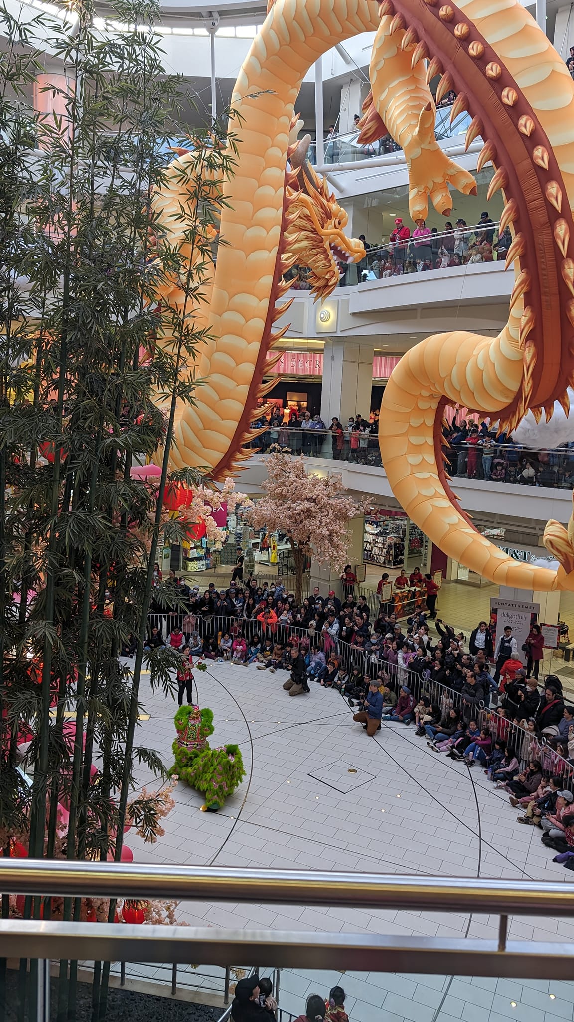 Happy new Chinese year. Happy valentine's day Happy happy happy