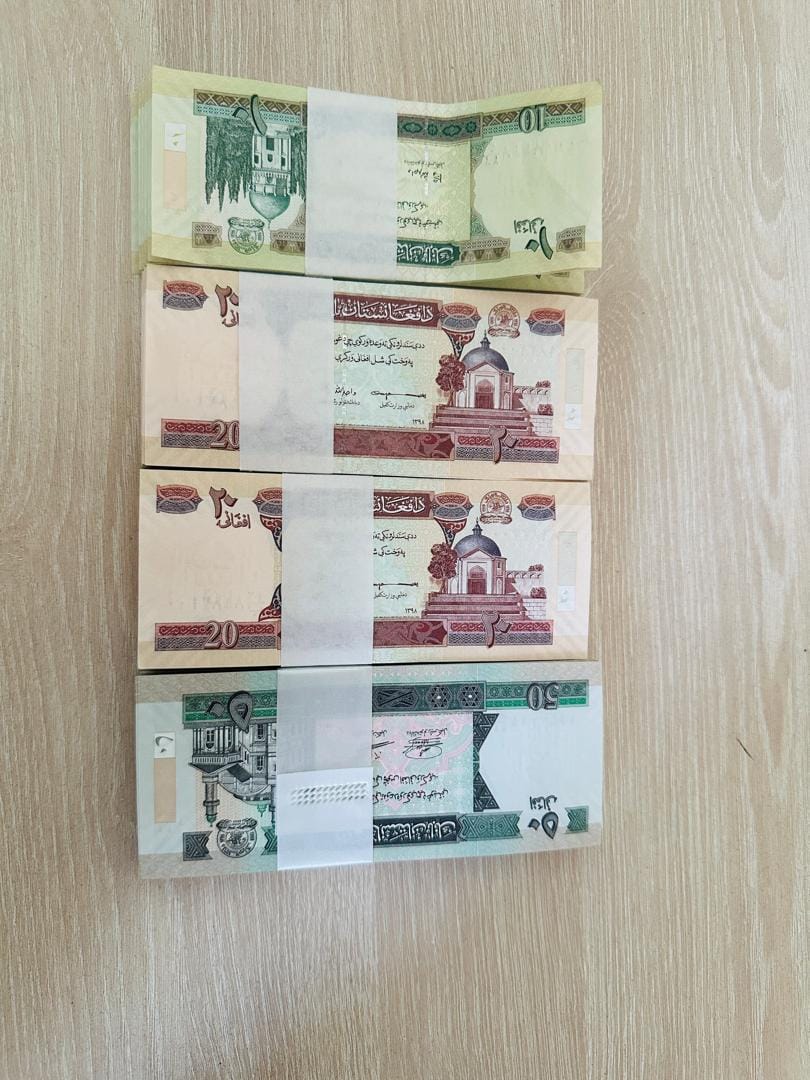 دلم میخواهد یک کمی که به اوضاع زندگی و زن و فرزند سر و سامان دادم، برای همیشه برگردم افغانستان. نهایت یک ماه یا دو ماه آینده. من اینجا طاقت نمیارم. زور که نیست. خودم را هم نمیتوانم بازی بدهم. اینکه روانشناسی چه میگوید و منفعت کدام سمت است را هم کار ندارم. من زندگی در این سر دنیا را نمیخواهم. زبان اینها را بلد نیستم و تا بخواهم خودم را به خوی و خاصیت خارجی‌ها!! وفق بدهم، ده پانزده سال دیگر هم میگذرد. من در این خاک غریبم و این خاک برای من غریب است. نه زمستانش به زمستان میماند و نه بهار و تابستانش. همین حالا که به حساب اوایل تابستان است، شبها بخاری روشن می‌کنیم. اول صبح هوا، بارانی است، چاشت از گرمی طاقت نمیشه, بعداز چاشت هوا بهاری است و دم شام دوباره ابری و بارانی. یک کوله پشتی دارم داخلش باید همزمان چتری و کاپشن و بوتل آب همراهم باشد. تایم و زمان بهم ریخته و شب و روز قاطی پاتی شده و هیچ چیز برابر نیست. شب ما روز آنجاست و شب آنجا روز ما. اینجا شنبه و یکشنبه رخصتی است و آنجا پنج شنبه و جمعه. اینجا هم نه فامیلی، نه دوستی، نه آشنایی. به هر کسی سلام کنی، بشینی و بلند شوی، کم‌ از کم، ساعتی بیست دلار در دل خود حساب می‌کنند. دکتر مهندس‌ها و وکیل مشاورها که ساعتی کمتر از صد و پنجاه دلار را قبول ندارند. همگی دنبال پول خیز میکنند و مردم یک جوری بنده‌ی پول شده‌اند. زندگی خوب و سریع است اما شبیه گلدانهای من، سوراخ‌های بزرگی در زیر آن است که نمی‌گذارد پول در جیب آدم گرم بیاید. تکس و کرایه خانه و انواع بیمه‌ها و غیره، کار هم که کار شاق‌. دیگر فرصت و حال و حوصله و اعصابی برای گفتگو و تبادل نظر با اولادها و خانواده نمی‌ماند. من امروز و فردا را کار میکنم. تا پس فردا نتیجه‌ی خانه‌ی جدید هم مشخص میشود. بعدش کتابهایم را بسته بندی میکنم و سر خرم را کج میکنم به سمت کابل و بلخ. هر کسی هم همراه من می‌آید، بسم اله. نمی‌آید هم بسم اله. این آب و خاک، این زمین و سرزمین، از من نیست. زن و فرزند و زندگی هم خودشان را مستقل می‌دانند و حاجت به غیرت من نیست. دو سه باری که صحبت از تامین مخارج و مایحتاج زندگی شده و گفته‌ام که من پوره میکنم، دوستان غربی یک جوری پنهانی ریشخند کرده‌اند که هنوز خصوصیات یک مرد شرقی در وجودم هست و زور دولت و سیستم غربی اینجا را دست کم گرفته‌ام. بهرحال، هر آنکس نان دهد، فرمان دهد. اگر نان کم من را قبول ندارید و من نان داده نمیتوانم، من عقب نشینی میکنم. پدرم روضه‌ی رضوان به دو گندم بفروخت من چرا باغ جهان را به جَوی نفروشم؟! عید قربان مبارک، از خوردن گوشت گوسفند وطنی، لذت ببرید دوستان، که لامصب خوشمزه و کمیافت است.