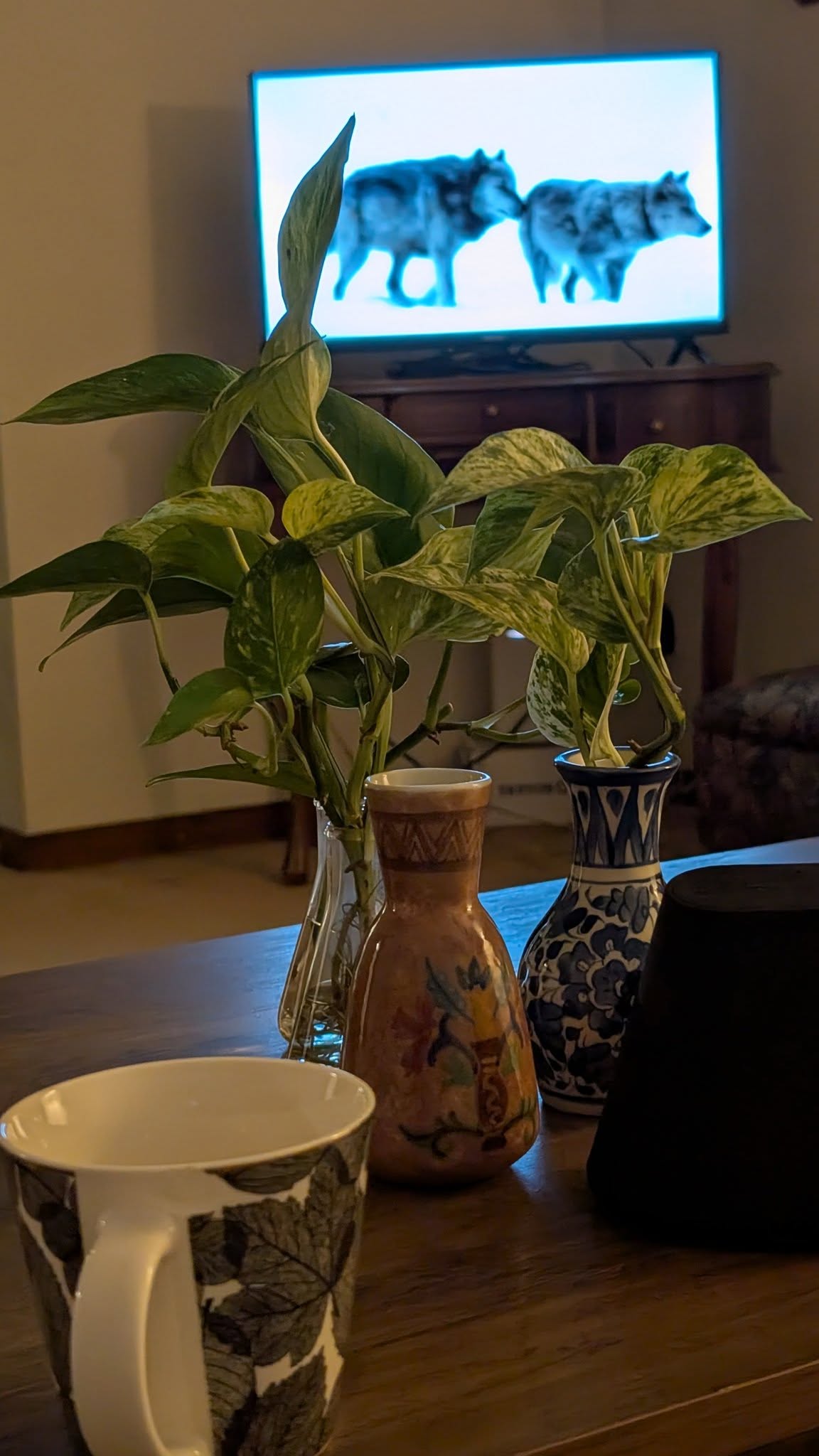 من از بیانیه‌های غرا بیزارم. از صدای اکوی بلندگوها، بدم می‌آید. من نجوا دوست دارم. من به قدرت نجواهای شبانه و عاشقانه بیشتر باور دارم.