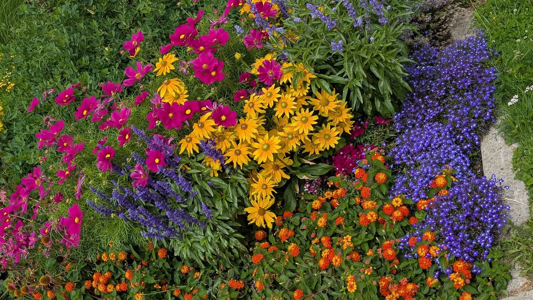 دیروز شنبه بود، یک زن و مرد میانسال آمده بودند دم خانه برای تبلیغ مسیحیت و یک مدل مذهب که دقیق یادم نمانده عنوان مذهب چی بود. به آنها گفتم صحبت از دین و مذهب و خدا و پیغمبر خوب است اما به شرطی که اول جا افتاده بشویم. ما تازه دو سال است که آمدیم و هنوز مشکلات زیادی داریم در کار و زبان و جا افتادن در جامعه جدید و تمرکز کافی برای صحبت از دین و خدا و پیغمبر نیست. چون تا تکان میخورم، کرایه خانه و آب و برق و اینترنت و کاستکو و کم‌کمی هم ساپورت خانواده مادرم در ایران، دود از کله آدم خارج میکند و همین که خودم را خوشخوی و خندان میگیرم، خودش نشانه‌ای از ایمان است. در آخر گفتم خدا خوب است، اما فعلا نمیتوانم برای پرداخت انواع و اقسام بل‌ها به خدا توکل کنم و تکیه کنم. باید زور بزنم و بدوم و همین باعث میشود که تمرکز کافی روی بحث نداشته باشم. دست آخر هم یکی از گلدان‌های پتوس را به آنها تقدیم کردم که قبول نمی‌کردند و با اصرار به آنها دادم و گفتم فکر کنید که به عنوان یک دوست آنرا از من میگیرند. بعد از آنکه رفتند، با خودم فکر کردم و خنده ام گرفت. یادم آمد یک وقتهایی که در خانه پدری نماز می‌خواندم، مادرم می‌گفت باز کجا ضرر کردی که به یاد خدا افتادی؟ میگفتم چطور؟ مادرم می‌گفت: طایفه شما همگی وقتی پول دارید و اوضاع روبراه است، خدا را یاد نمی‌کنید، تنها وقتی که اوضاع گدود شده و روبه سرنَشیبی است به یاد خدا می‌افتید. مادرم دقیق می‌گفت. حالا و در این روزها، تقریبا همه چی گدود است. هنوز روتین خاص خود را پیدا نکردم و هر هفته تغییرات می‌آید یا تغییرات می‌آورم. از کار و بار در بخش آی تی بگیر تا فعالیت در بخش گل و گیاه و فضای سبز. تا فعالیتهای داوطلبانه در بخشهای سیر و سیاحت و توریستی. تا جان کندن در بخش سنگین ساختمان و رنگمالی و پشت سر گذاشتن بعضی حوادث خطرناک در حال کار با ابزارهای برشی. اما ته دلم روشن است که آینده ثروت در دست آی تی و تجارت است. قبل از اینکه وارد هر کاری شوم، باید یاد بگیرم که چطور بفروشم. اگر فروش نکنم، با کار روزمزد و ساعتی به جایی نمی‌رسم، مگر اینکه همه افراد خانواده را درگیر کار کنم که از این کار خوشم نمی‌آید. این روزها، این روزهای فشار و استرس و گدودی، خدا را یاد نمیکنم. خدا باشد برای روزهای پولداری، برای روزهای شکم سیری، برای مواقع بیکاری. فعلا چیزی که کار میدهد، زور بازو و زبان و یادگیری مهارتهای مختلف است. اگر نه خدا و فرشته‌هایش آنتن نمیدهند اینجاها. خدا باشد برای روز مبادا.