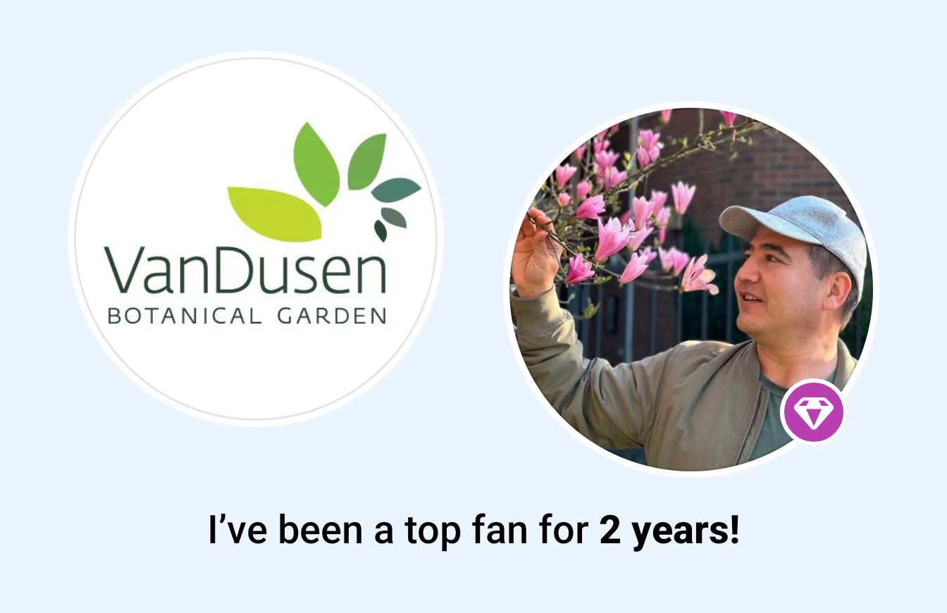 🎉 It's my fan-iversary! I've been a top fan of VanDusen Botanical Garden since November 15, 2023. @[100064771598345:2048:VanDusen Botanical Garden]